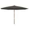 vidaXL Parasol de jardin avec m&acirc;t en bois anthracite 400x273 cm