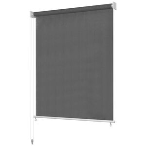 vidaXL Store roulant d'ext&eacute;rieur 105 (l) x 140 (H) cm anthracite