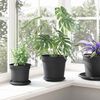 vidaXL Pot &agrave; fleurs rond 6 pcs Noir &Oslash; 19 x 16 cm Plastique