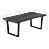 vidaXL Table basse Bois de melia azedarach massif 102x56x41 cm Gris