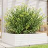 vidaXL Jardini&egrave;re blanc 80x80x23 cm bois de pin massif