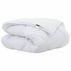 vidaXL Duvet d'hiver 220 x 155 x 0 cm Hiver Polyester Blanc Respirant