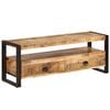 vidaXL Meuble TV 120x35x45 cm Bois solide de manguier