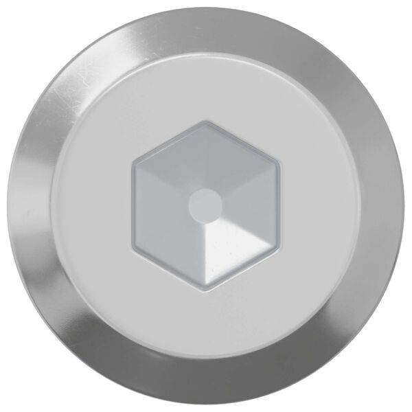 vidaXL Vis 2 pcs Argent&eacute; M6 x 50 mm Acier