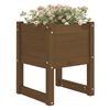 vidaXL Jardini&egrave;res 2 pcs Marron miel 40x40x52,5 cm Bois massif de pin
