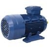 vidaXL Moteur &eacute;lectrique triphas&eacute; Aluminium 2,2kW/3 CH 2840 tr/min