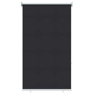 vidaXL Store roulant ext&eacute;rieur protection UV Anthracite 80 x 140 cm