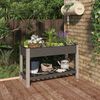 vidaXL Lit sur&eacute;lev&eacute; de jardin avec &eacute;tag&egrave;re Gris 120x50x75 cm WPC