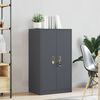vidaXL Armoire de rangement avec stockage Anthracite 60 x 40 x 105 cm