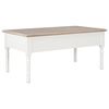 vidaXL Table basse Blanc 100x55x45 cm Bois