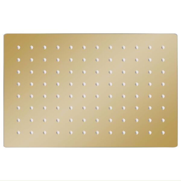 vidaXL Pomme de douche pluie Inox 30x20 cm Rectangulaire Doré