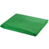 vidaXL Syst&egrave;me de support de toile de fond 500 x 300 cm Vert