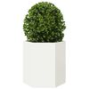 vidaXL Jardini&egrave;res 2 pcs blanc hexagone 46x40x45 cm acier