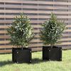 vidaXL Jardini&egrave;res d'ext&eacute;rieur 2 pcs Noir 31x31x31 cm Bois de pin