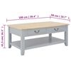 vidaXL Table basse Gris 100x50x41,5 cm Bois de Paulownia solide