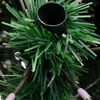 vidaXL Sapin de No&euml;l Artificiel &agrave; Branches Articul&eacute;es Vert 270 cm