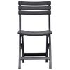 vidaXL Chaises de jardin pliables lot de 2 Plastique Anthracite