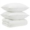 vidaXL Ensemble de couette 90 % en duvet d&rsquo;oie FULDA 3 pc 140 x 220 cm