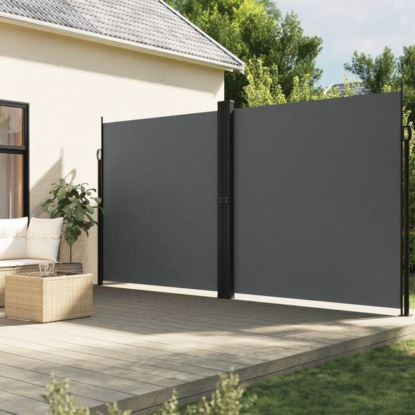 vidaXL Auvent lat&eacute;ral r&eacute;tractable anthracite 220x1000 cm