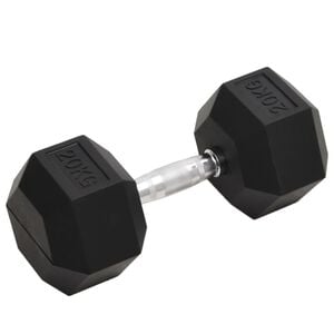 vidaXL Halt&egrave;re 20 kg Fonte