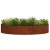 vidaXL Anneau de jardini&egrave;re Marron 120 x 120 x 20 cm Acier patin&eacute;