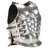 vidaXL Cuirasse d'armure corporelle de soldat romain GN Argent&eacute; Acier