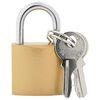 vidaXL U Lock avec Cl&eacute;s 100 pi&egrave;ces Laiton Fer