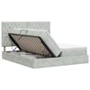 vidaXL Lit de Rangement avec stockage Gris clair 200 x 200 cm Velours