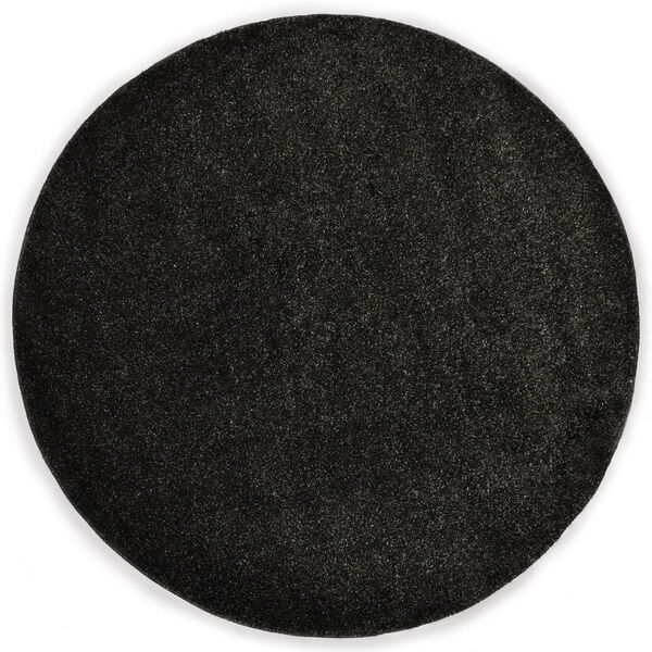 vidaXL Tapis Shaggy 120 cm Anthracite