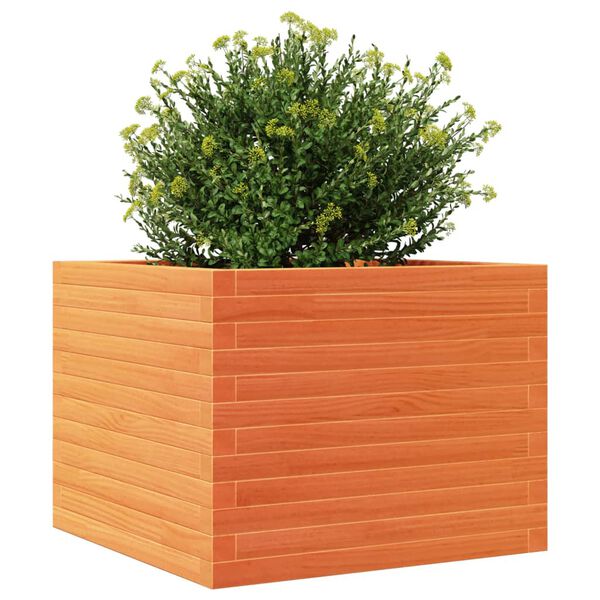 vidaXL Jardini&egrave;re cire marron 60x60x46 cm bois de pin massif