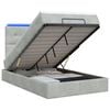 vidaXL Lit coffre avec matelas et LED Gris clair 120 x 200 cm Velours