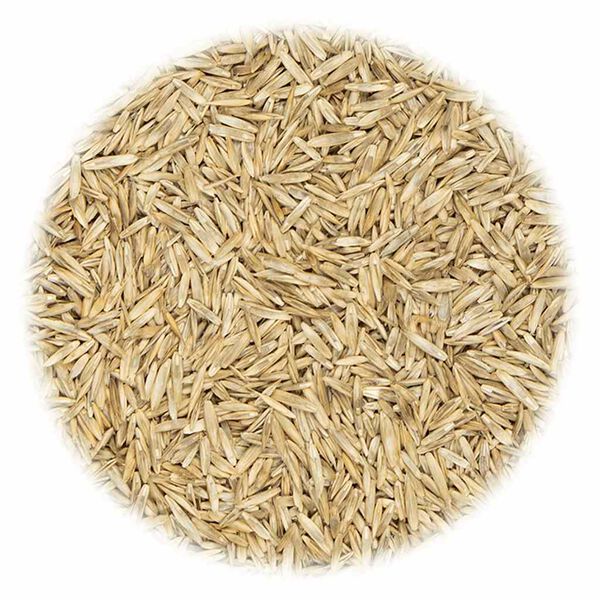 vidaXL Graine de gazon pour sports et jeux 30 kg