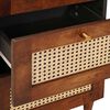 vidaXL Buffet Marron 40 x 33.5 x 75 cm Rotin et bois de mango massif