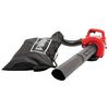 Scheppach Souffleur &agrave; feuilles LBH2600P 1,0 CH