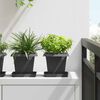 vidaXL Pot de Fleurs Carr&eacute; 6 pcs Noir 16 x 16 x 14 cm Plastique