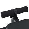 vidaXL Banc pour abdominaux Noir 124 x 33,5 x 55 cm