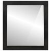 vidaXL Miroir de salle de bain 55x1x60cm verre et bois massif manguier