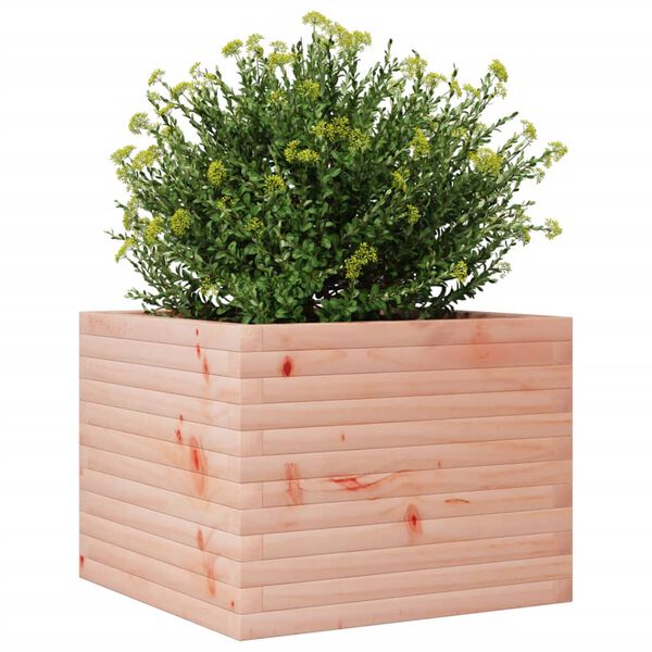 vidaXL Jardini&egrave;re 60x60x45,5 cm bois massif de douglas