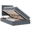 vidaXL Lit avec rangement et matelas Gris fonc&eacute; 120 x 190 cm Velours