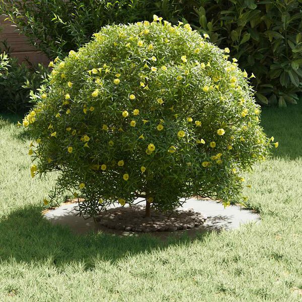 vidaXL adapt&eacute; pour anneaux d'arbre plats 5 pcs Blanc &Oslash;30 / 60 cm Acier