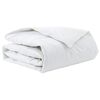 vidaXL Duvet d'hiver Blanc 135 x 200 cm Plume