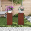 vidaXL Support de Plante 2 pcs Rouill&eacute; 24 x 24 x 55 cm Acier patin&eacute;