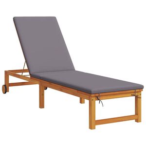 vidaXL Transat Marron 202 x 53 x 89 cm Bois d'Acacia Massif