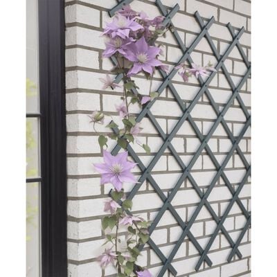 Nature Treillis de jardin 50x150 cm PVC anthracite