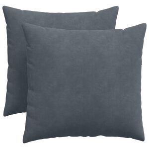 vidaXL Coussins de canap&eacute; 2 pcs Gris fonc&eacute; 50 x 50 cm