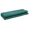 vidaXL B&acirc;che pour silo Vert 6 x 5 m HDPE