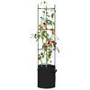 vidaXL Cages &agrave; tomates avec sacs &agrave; plantes 4 pcs 154 cm acier et PP