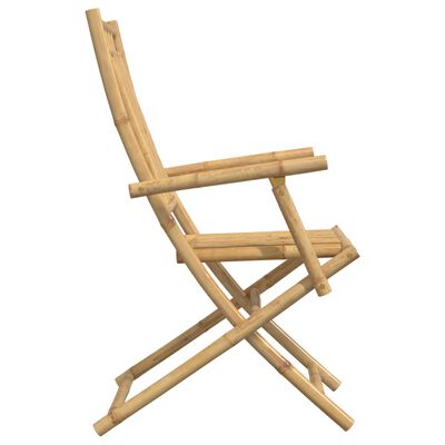 vidaXL Chaises pliables de jardin lot de 2 53x66x99 cm bambou