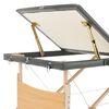 vidaXL Table de massage avec 3 zones Cadre en bois Anthracite 186x68cm