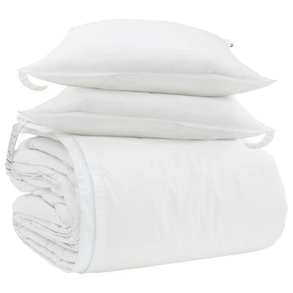vidaXL Ensemble de Duvet avec oreiller 3 pcs Blanc Plume de canard